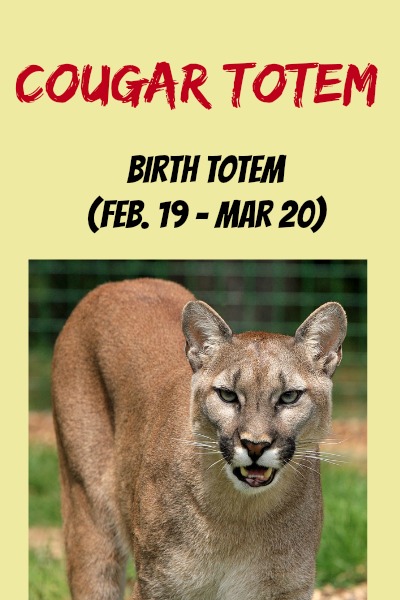 Cougar As Your Birth Totem - Native American Totems