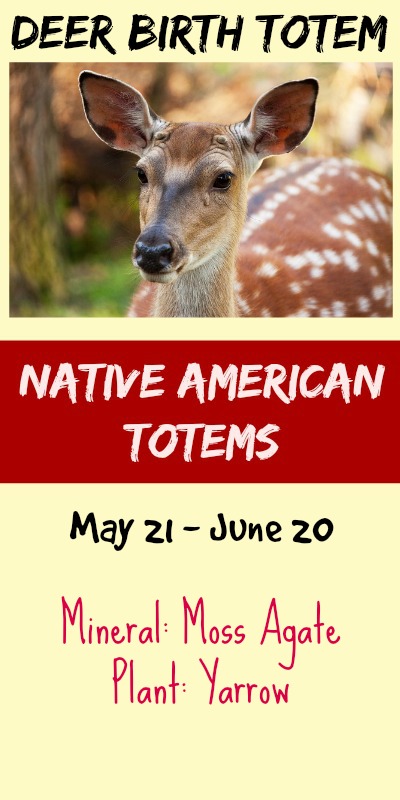 Deer As A Native American Birth Totem