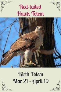 red-tailed hawk totem