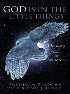 god is in the little things cover