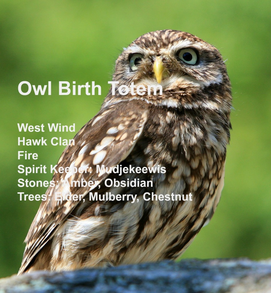 owl totem chart