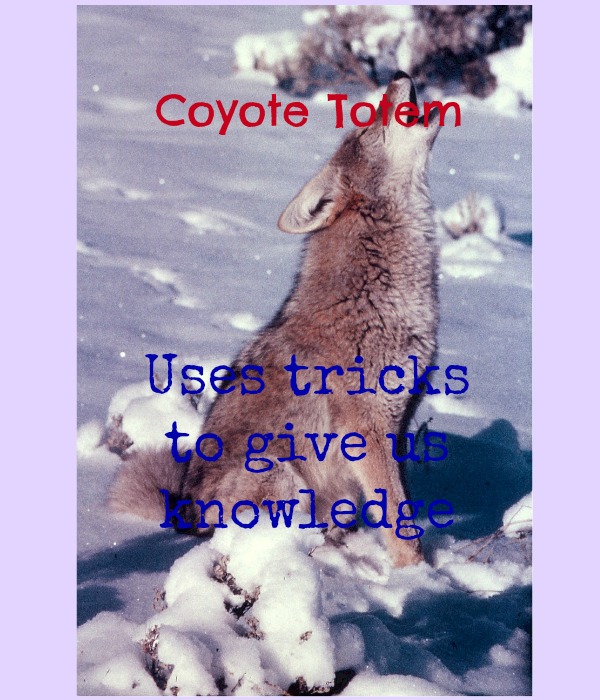 coyote totem