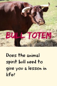 bull totem meaning