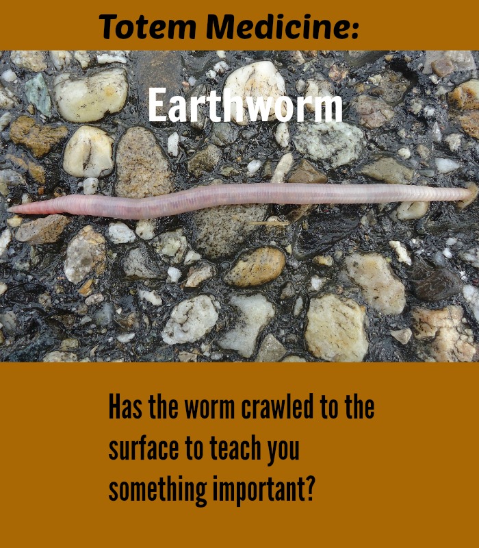 earthworm totem lesson