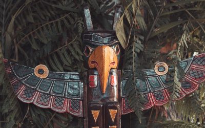 Discovering The Importance Of Bird Totems